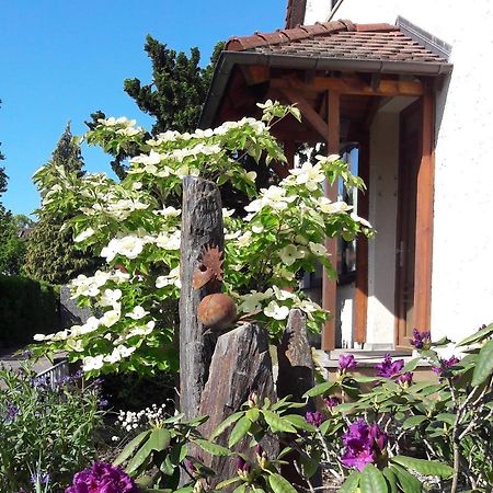 Fremdenzimmer Familie Foerster Villingen-Schwenningen Exterior foto